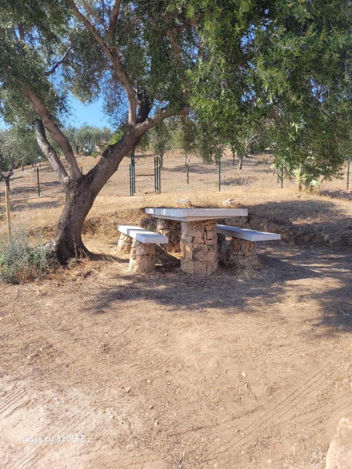 Residenza Degli Ulivi Διαμέρισμα Όλμπια Εξωτερικό φωτογραφία