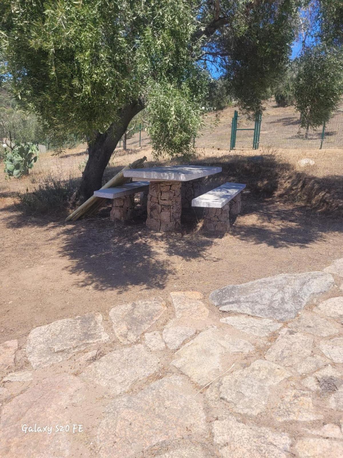 Residenza Degli Ulivi Διαμέρισμα Όλμπια Εξωτερικό φωτογραφία