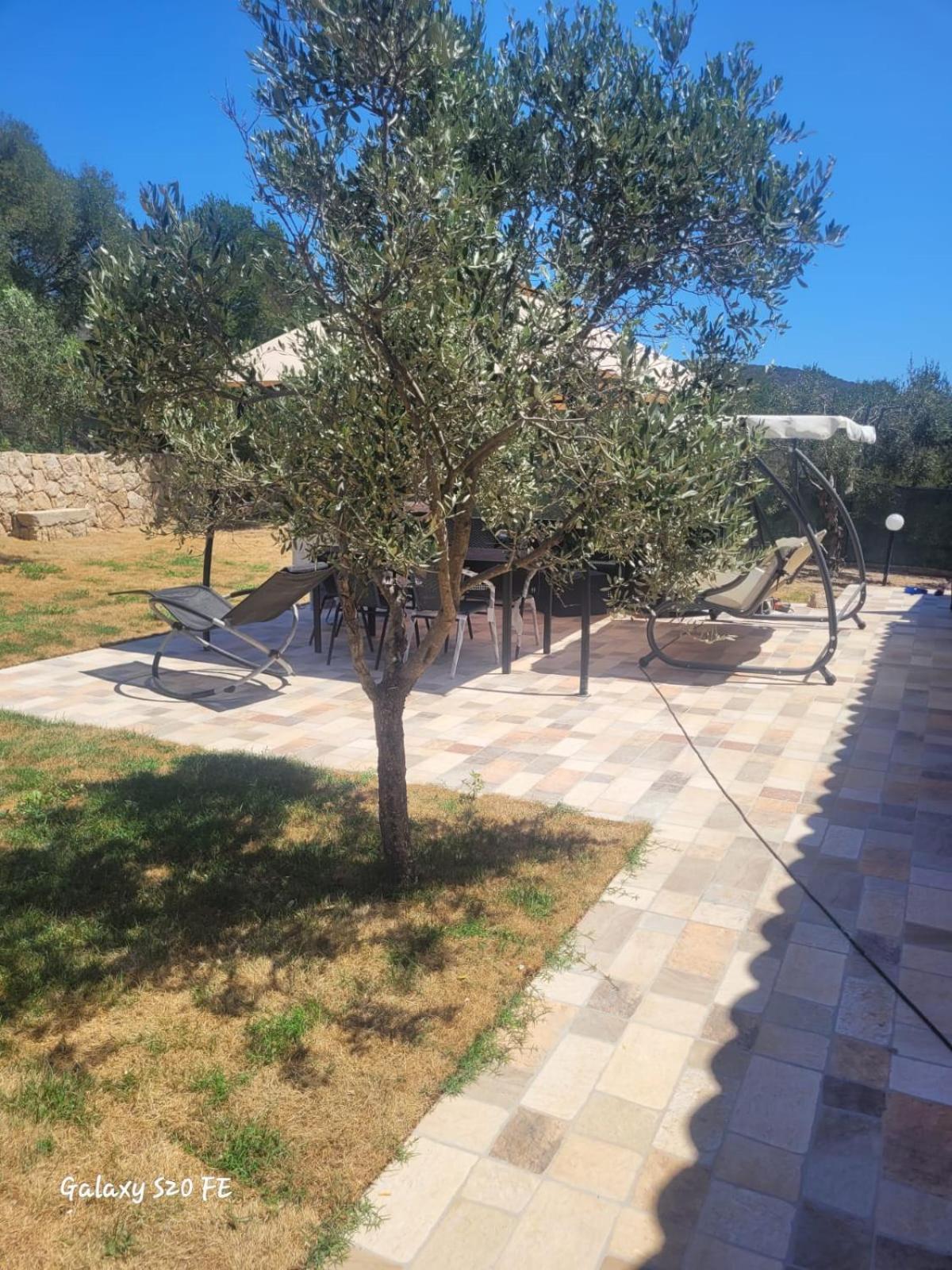 Residenza Degli Ulivi Διαμέρισμα Όλμπια Εξωτερικό φωτογραφία
