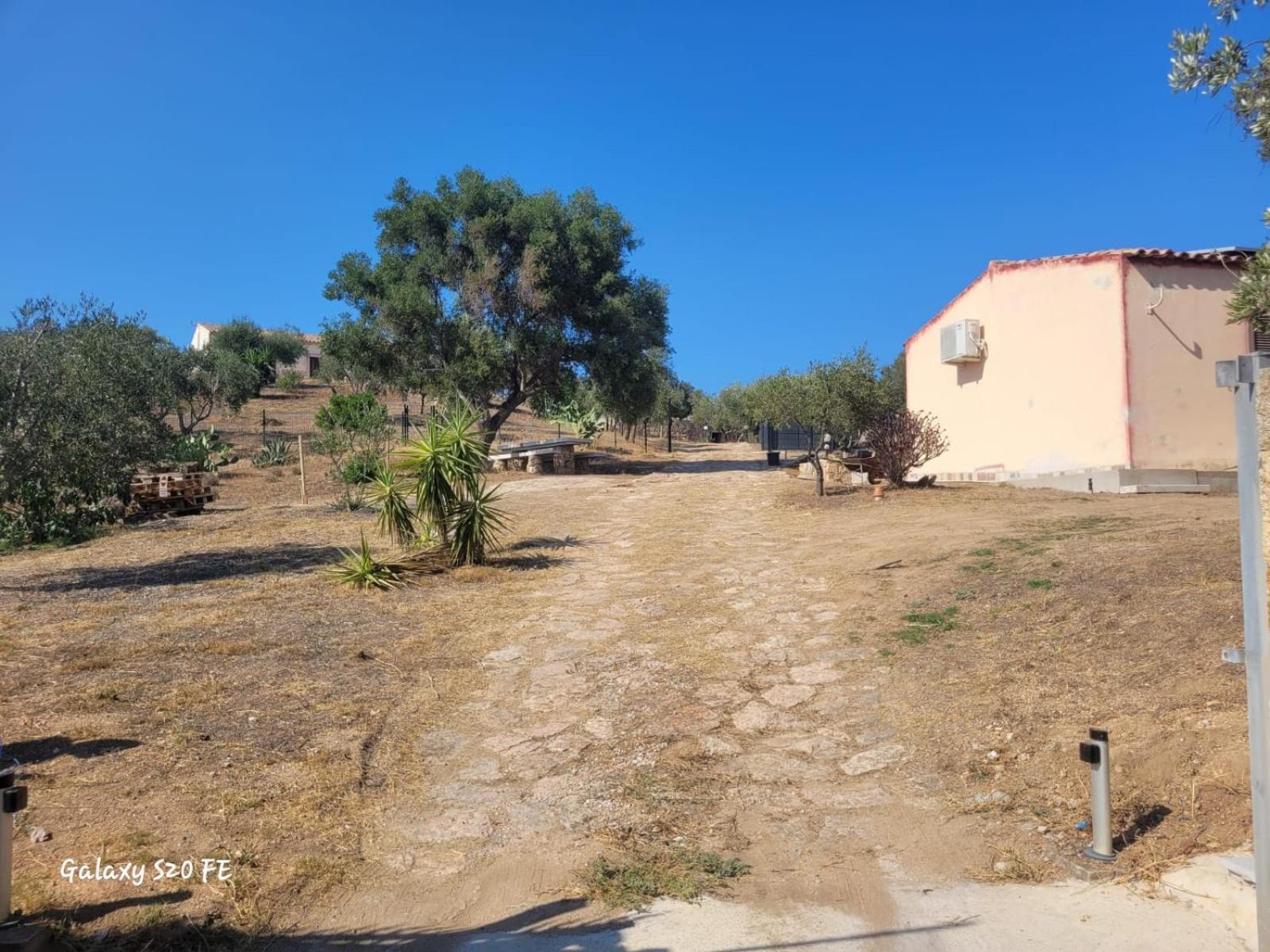 Residenza Degli Ulivi Διαμέρισμα Όλμπια Εξωτερικό φωτογραφία